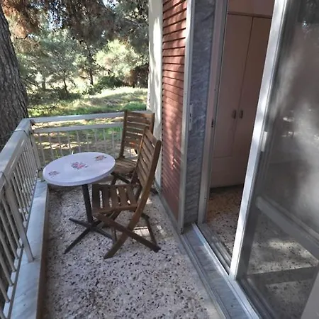 Studio Ermioni Fresh 2 Apartment *